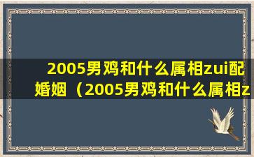 2005男鸡和什么属相zui配婚姻（2005男鸡和什么属相zui配婚姻呢）