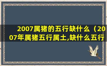 2007属猪的五行缺什么（2007年属猪五行属土,缺什么五行）