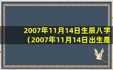 2007年11月14日生辰八字（2007年11月14日出生是什么命）