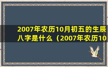 2007年农历10月初五的生辰八字是什么（2007年农历10月初五的生辰八字是什么意思）