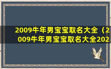 2009牛年男宝宝取名大全（2009牛年男宝宝取名大全2021款）