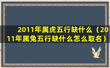 2011年属虎五行缺什么（2011年属兔五行缺什么怎么取名）