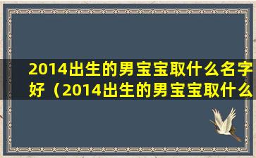 2014出生的男宝宝取什么名字好（2014出生的男宝宝取什么名字好一点）