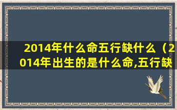 2014年什么命五行缺什么（2014年出生的是什么命,五行缺什么）