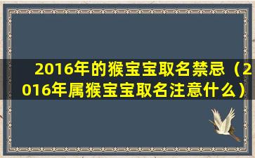 2016年的猴宝宝取名禁忌（2016年属猴宝宝取名注意什么）