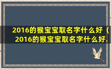 2016的猴宝宝取名字什么好（2016的猴宝宝取名字什么好.姓吴怎么取）