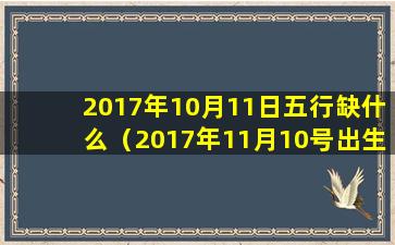 2017年10月11日五行缺什么（2017年11月10号出生的宝宝五行属性）