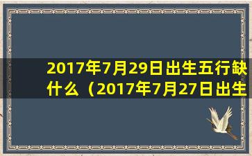 2017年7月29日出生五行缺什么（2017年7月27日出生的人命运解析）