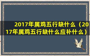 2017年属鸡五行缺什么（2017年属鸡五行缺什么应补什么）