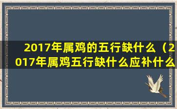 2017年属鸡的五行缺什么（2017年属鸡五行缺什么应补什么）