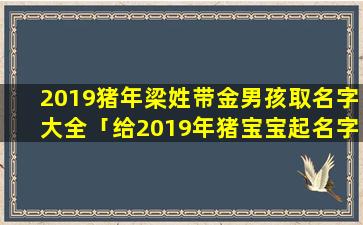 2019猪年梁姓带金男孩取名字大全「给2019年猪宝宝起名字」