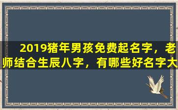 2019猪年男孩免费起名字，老师结合生辰八字，有哪些好名字大全