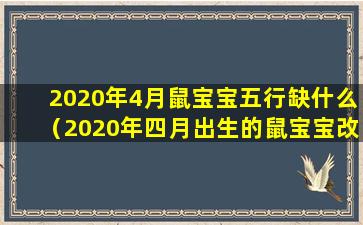 2020年4月鼠宝宝五行缺什么（2020年四月出生的鼠宝宝改什么名字好）