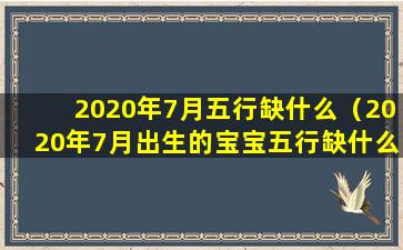 2020年7月五行缺什么（2020年7月出生的宝宝五行缺什么）