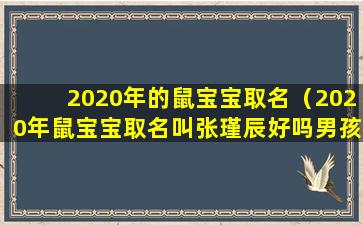 2020年的鼠宝宝取名（2020年鼠宝宝取名叫张瑾辰好吗男孩）