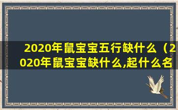 2020年鼠宝宝五行缺什么（2020年鼠宝宝缺什么,起什么名字）