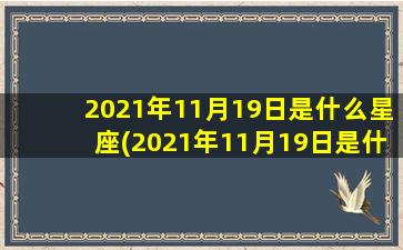 2021年11月19日是什么星座(2021年11月19日是什么星座的刘星雨）