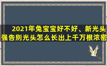 2021年兔宝宝好不好、新光头强告别光头怎么长出上千万根浓密毛发