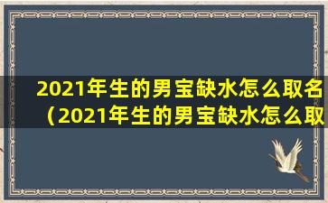 2021年生的男宝缺水怎么取名（2021年生的男宝缺水怎么取名好）