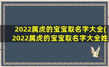 2022属虎的宝宝取名字大全(2022属虎的宝宝取名字大全姓王）