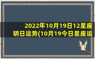 2022年10月19日12星座明日运势(10月19今日星座运势如何）