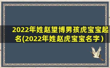 2022年姓赵望博男孩虎宝宝起名(2022年姓赵虎宝宝名字）