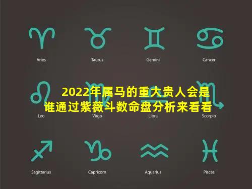 2022年属马的重大贵人会是谁通过紫薇斗数命盘分析来看看