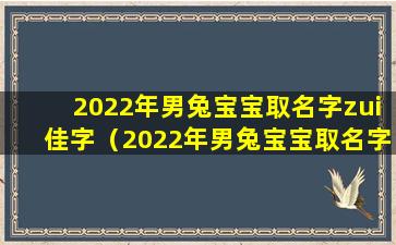 2022年男兔宝宝取名字zui佳字（2022年男兔宝宝取名字zui佳字母是什么）