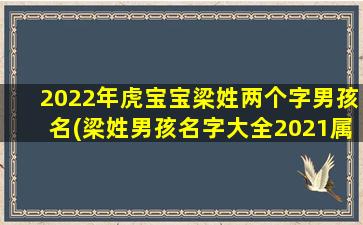 2022年虎宝宝梁姓两个字男孩名(梁姓男孩名字大全2021属虎）