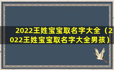 2022王姓宝宝取名字大全（2022王姓宝宝取名字大全男孩）