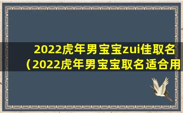 2022虎年男宝宝zui佳取名（2022虎年男宝宝取名适合用哪些字）