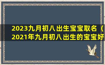 2023九月初八出生宝宝取名（2021年九月初八出生的宝宝好不好）