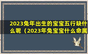 2023兔年出生的宝宝五行缺什么呢（2023年兔宝宝什么命属五行属什么）