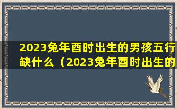 2023兔年酉时出生的男孩五行缺什么（2023兔年酉时出生的男孩五行缺什么属性）