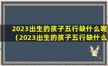 2023出生的孩子五行缺什么呢（2023出生的孩子五行缺什么呢怎么办）