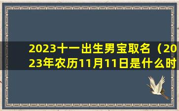 2023十一出生男宝取名（2023年农历11月11日是什么时候）