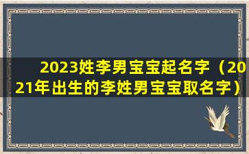 2023姓李男宝宝起名字（2021年出生的李姓男宝宝取名字）