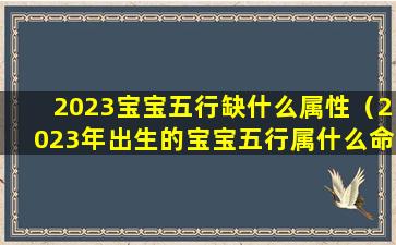 2023宝宝五行缺什么属性（2023年出生的宝宝五行属什么命）