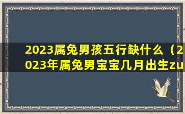 2023属兔男孩五行缺什么（2023年属兔男宝宝几月出生zui好命运）