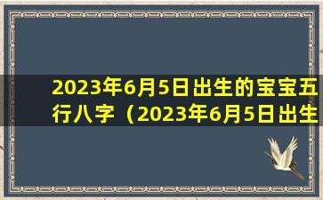 2023年6月5日出生的宝宝五行八字（2023年6月5日出生的宝宝五行八字是什么）