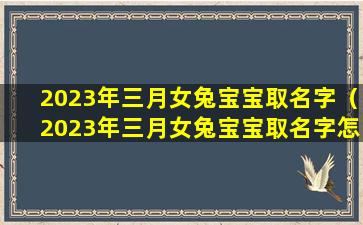 2023年三月女兔宝宝取名字（2023年三月女兔宝宝取名字怎么取）