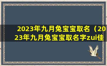 2023年九月兔宝宝取名（2023年九月兔宝宝取名字zui佳字男孩）