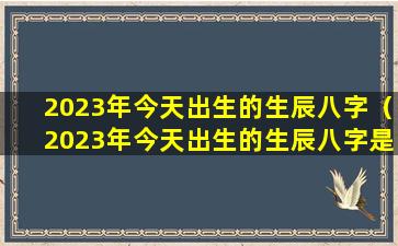 2023年今天出生的生辰八字（2023年今天出生的生辰八字是什么）