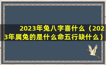 2023年兔八字喜什么（2023年属兔的是什么命五行缺什么）