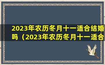 2023年农历冬月十一适合结婚吗（2023年农历冬月十一适合结婚吗为什么）