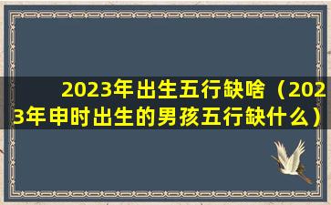 2023年出生五行缺啥（2023年申时出生的男孩五行缺什么）