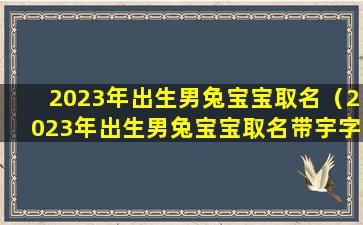 2023年出生男兔宝宝取名（2023年出生男兔宝宝取名带宇字的名字好吗）