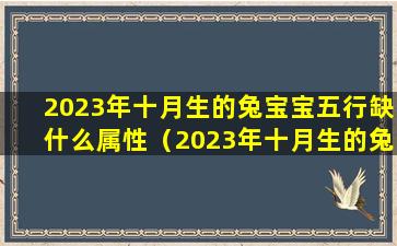 2023年十月生的兔宝宝五行缺什么属性（2023年十月生的兔宝宝五行缺什么属性呢）