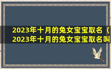 2023年十月的兔女宝宝取名（2023年十月的兔女宝宝取名叫什么）