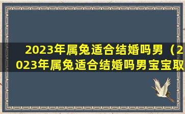 2023年属兔适合结婚吗男（2023年属兔适合结婚吗男宝宝取名）